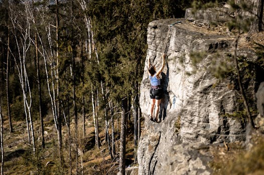 Jak ekologie formuje politiku v ČR: Klíčové trendy a výzvy