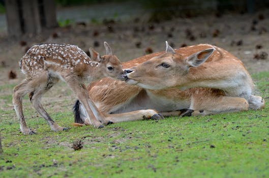 Migrace v ČR: Jak Ovlivňuje Kulturu, Ekonomiku a Společnost?