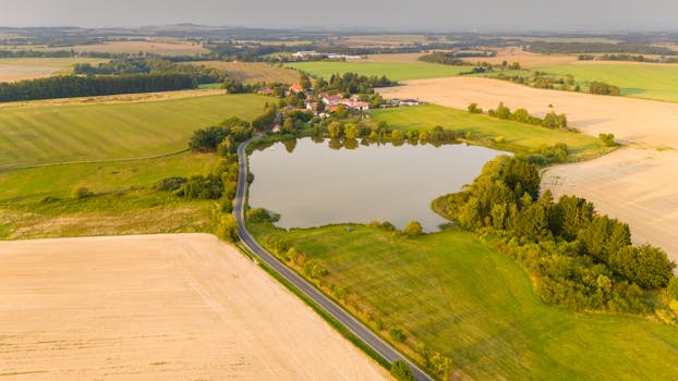 Historie a Současnost Antifašismu v Českých Zemích